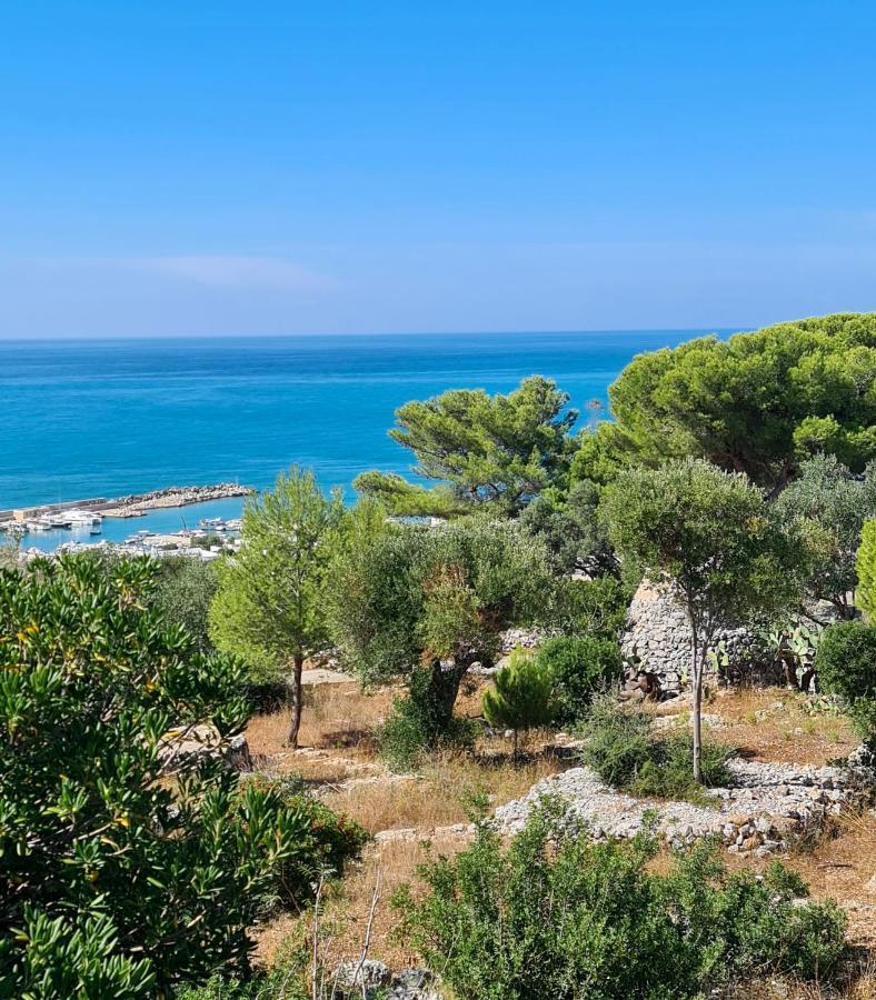 Villa Panoramica Sunset House Torre Vado Exterior photo